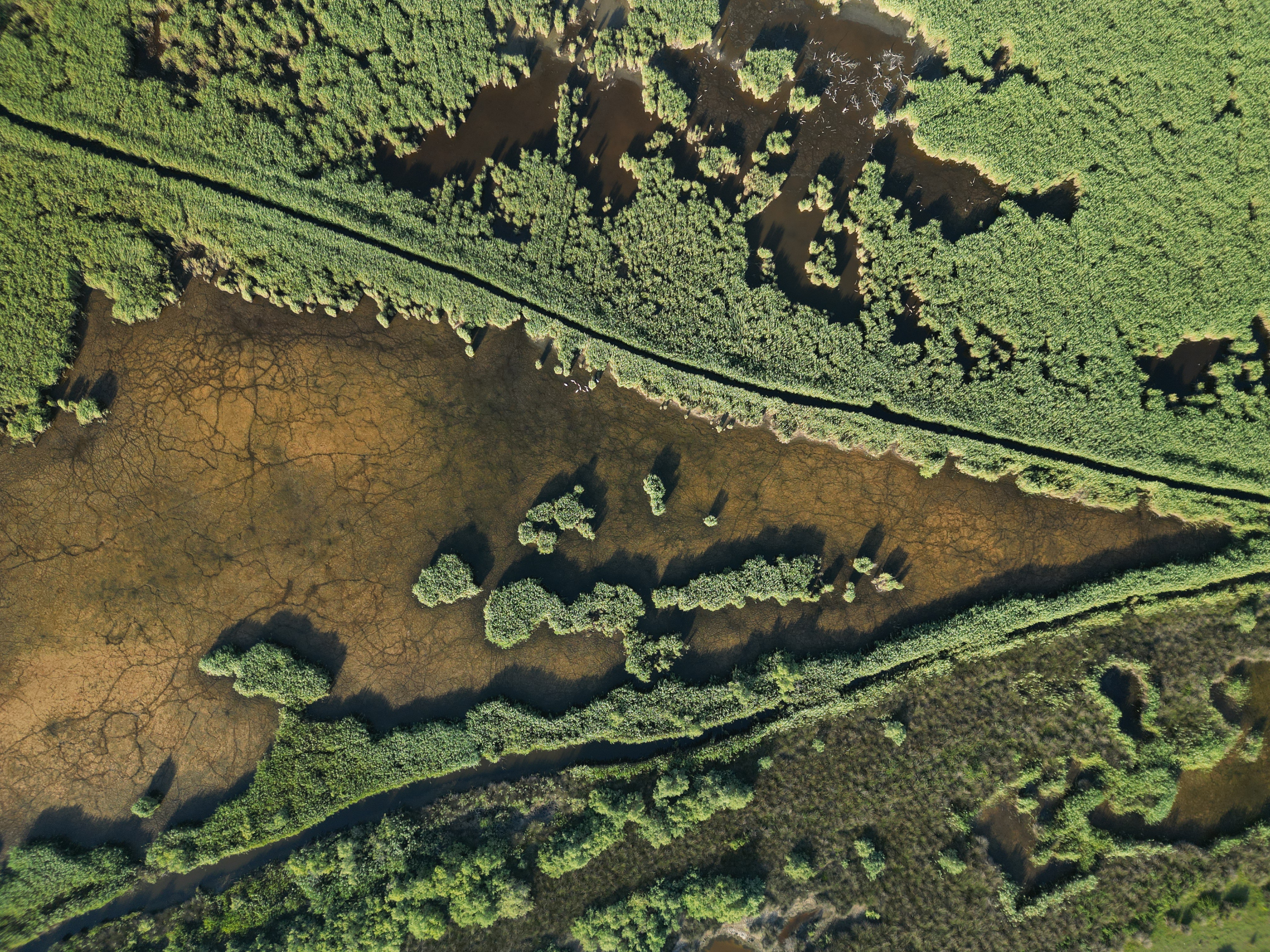 DJI 0086