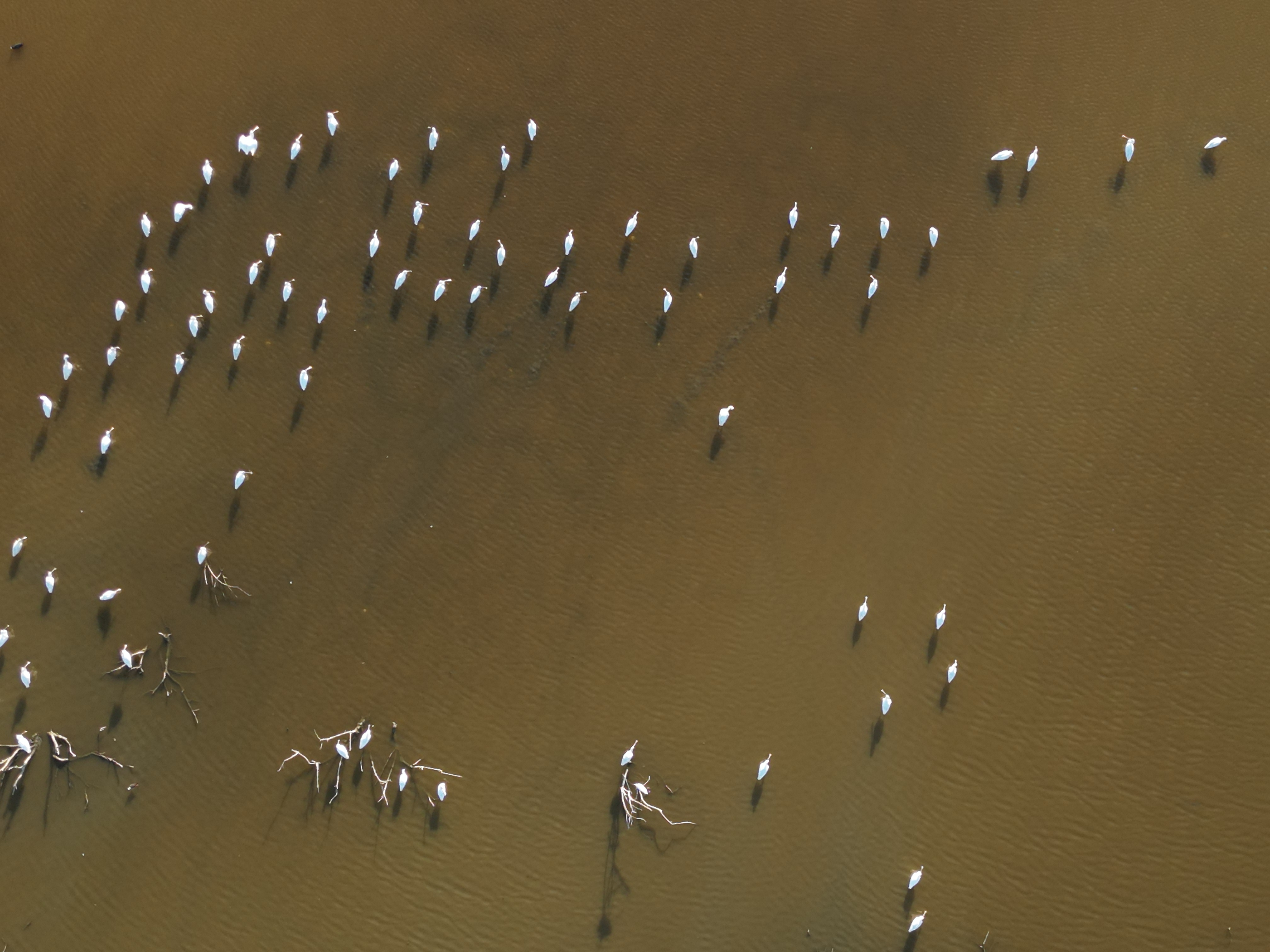 DJI 0114
