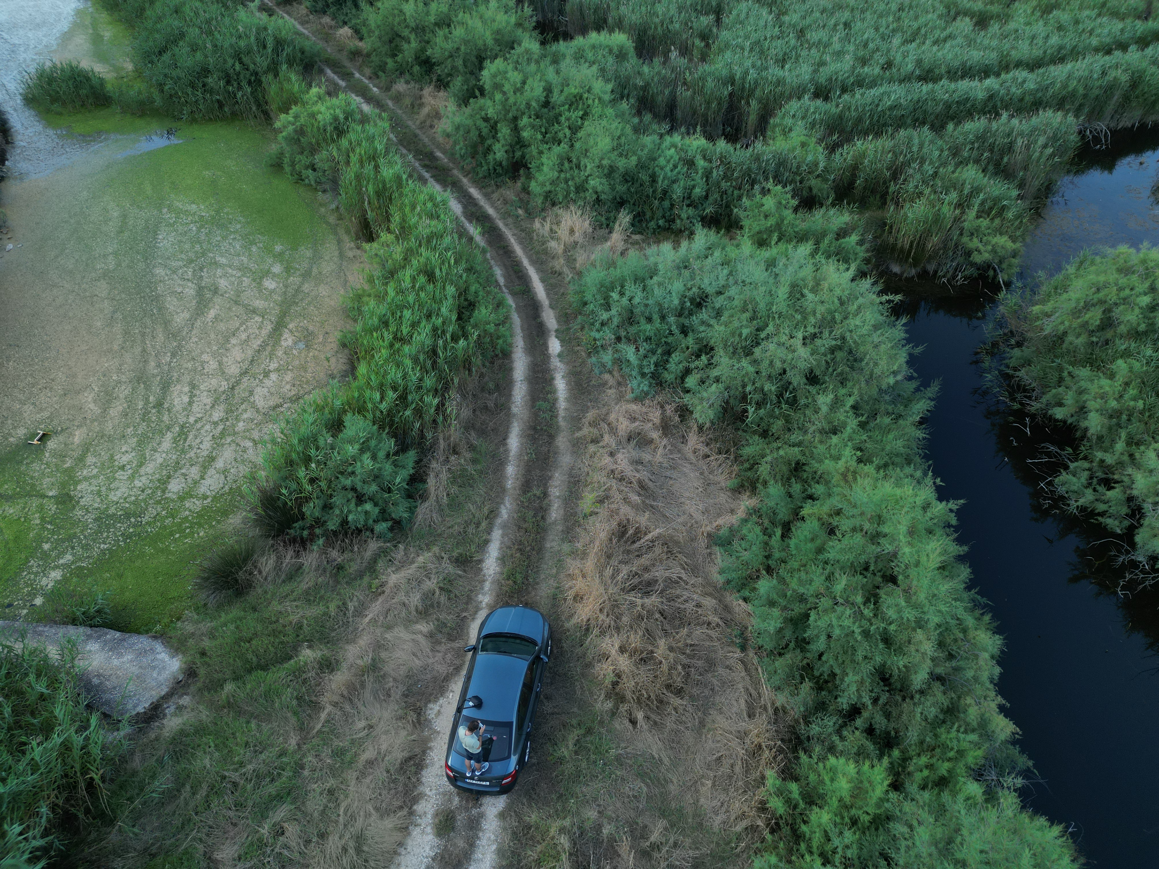 DJI 0162